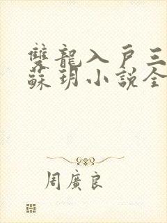 双龙入户三人行苏玥小说全文阅读