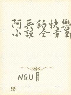 阿兵的快乐生活小说 全章节阅读免费