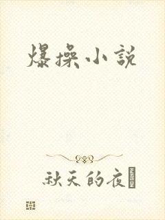 爆操小说