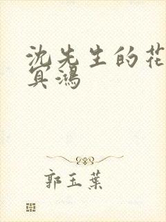 沈先生的花式调冥鸿