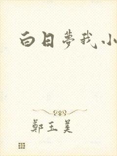 白日梦我小说
