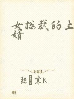 女总裁的上门女婿