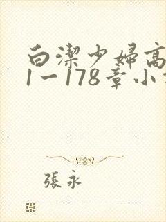 白洁少妇高义第1一178章小说
