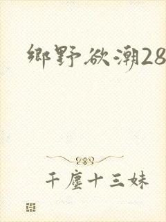 乡野欲潮28章