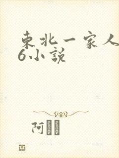 东北一家人1一6小说