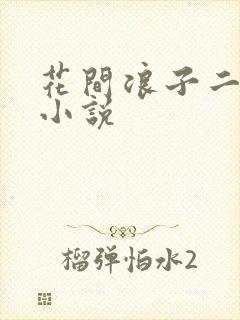 花间浪子二十部小说