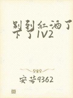 别到红酒了装不下了1V2