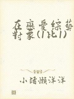 在恋爱综艺里搞对象(1比1)