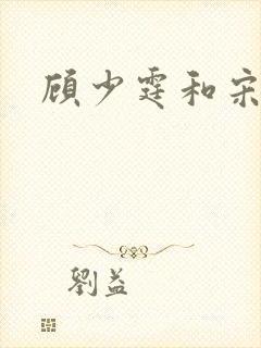 顾少霆和宋斯曼