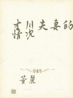 才川夫妻的恋爱情况