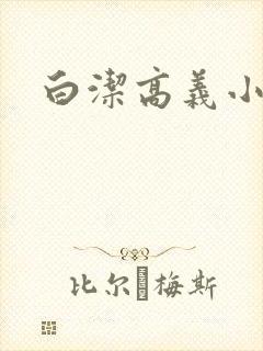 白洁高义小说