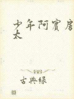 少年阿宾房东太太