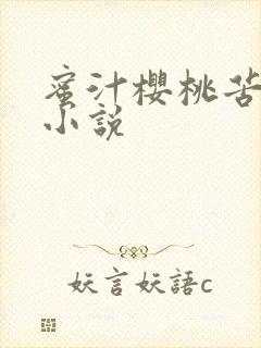 蜜汁樱桃苦咖啡小说