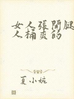 女人张开腿让男人桶爽的