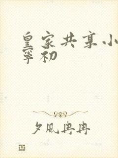 皇家共享小公主宁初