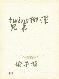 twins柳泽兄弟
