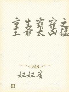 重生霸宠之摄政王爷太凶猛