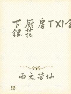 下厨房TXl金银花