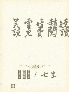 吴雪晴赵晓东小说免费阅读