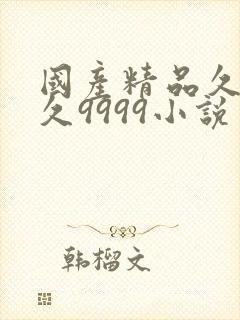 国产精品久久久久9999小说