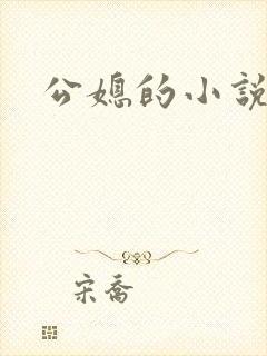 公媳的小说
