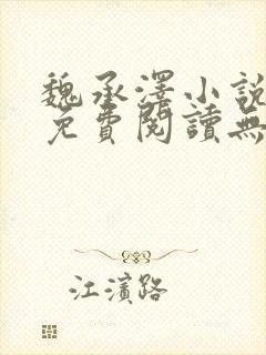 魏承泽小说全文免费阅读无弹窗笔趣