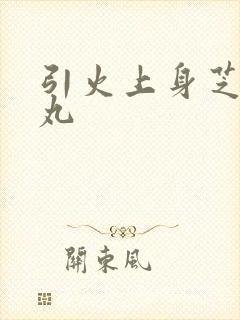 引火上身芝麻糖丸