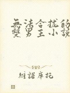 无法合拢的总裁双男主小说