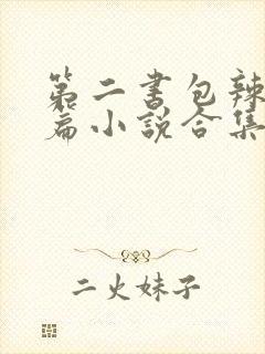 第二书包辣网短篇小说合集