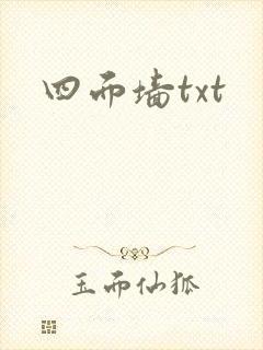 四面墙txt