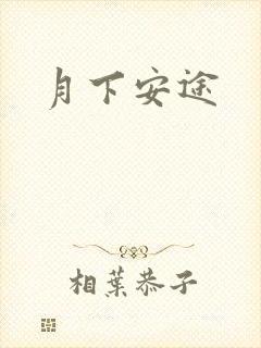 月下安途