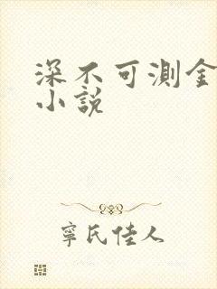 深不可测金银花小说