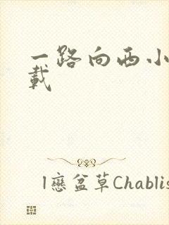 一路向西小说下载