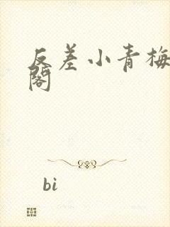 反差小青梅笔趣阁