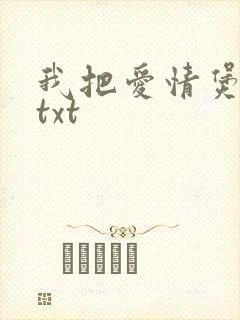 我把爱情煲成汤txt