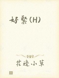 好紧(H)