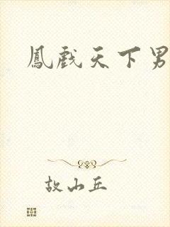 凤戏天下男