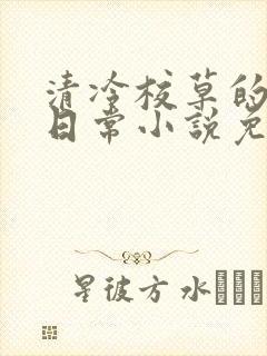 清冷校草的堕落日常小说免费阅读