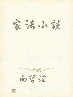 家法小说