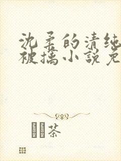 沈柔的清纯校花被擒小说免费阅读