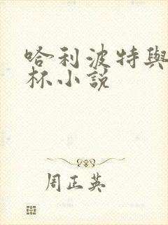 哈利波特与火焰杯小说