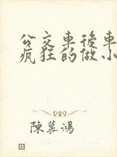 公交车后车座的疯狂的做小