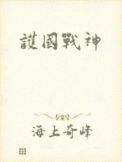 护国战神