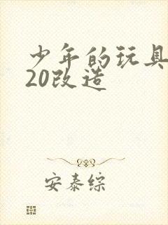 少年的玩具1一20改造