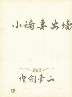 小娇妻出墙记
