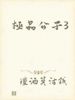 极品公子3
