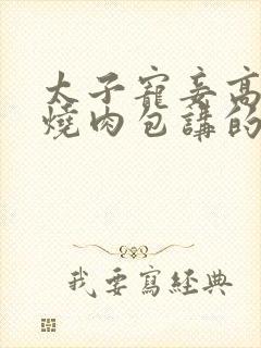 太子宠妾高肉红烧肉包讲的什么