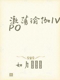 激荡瑜伽1V2PO