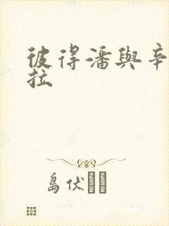 彼得潘与辛德瑞拉