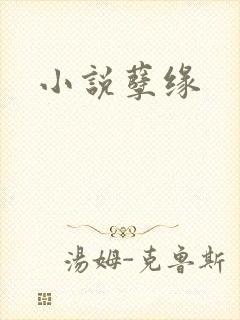 小说孽缘